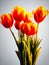 Spring has come, open your soul to her!Â Tulips on a gray background.